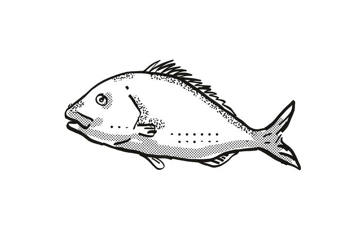 Snapper New Zealand Fish Cartoon Retro Drawing example image 1