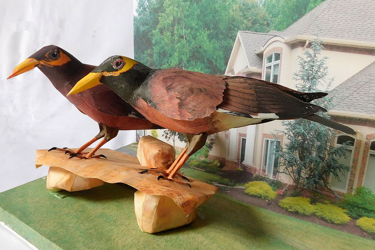 paper bird MAINA example image 1