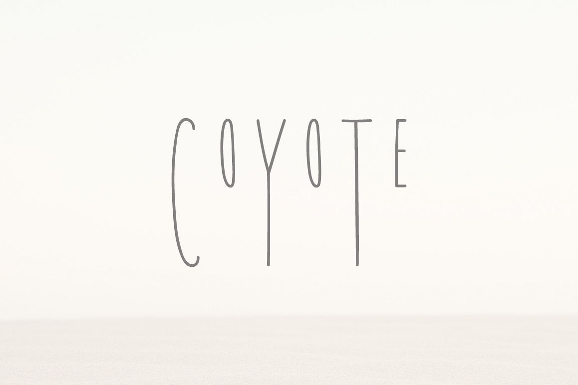 Coyote | A Playful Font example image 1