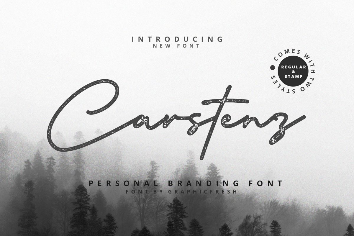 Carstenz Vintage Type example image 1