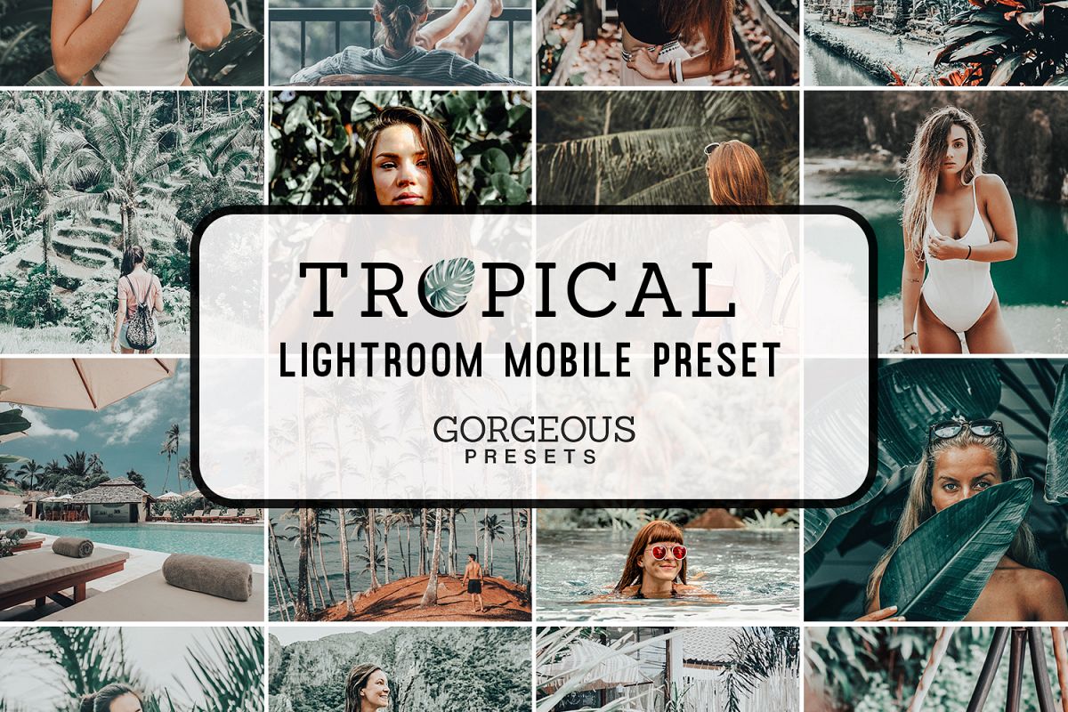 Mobile Lightroom Preset TROPICAL example image 1