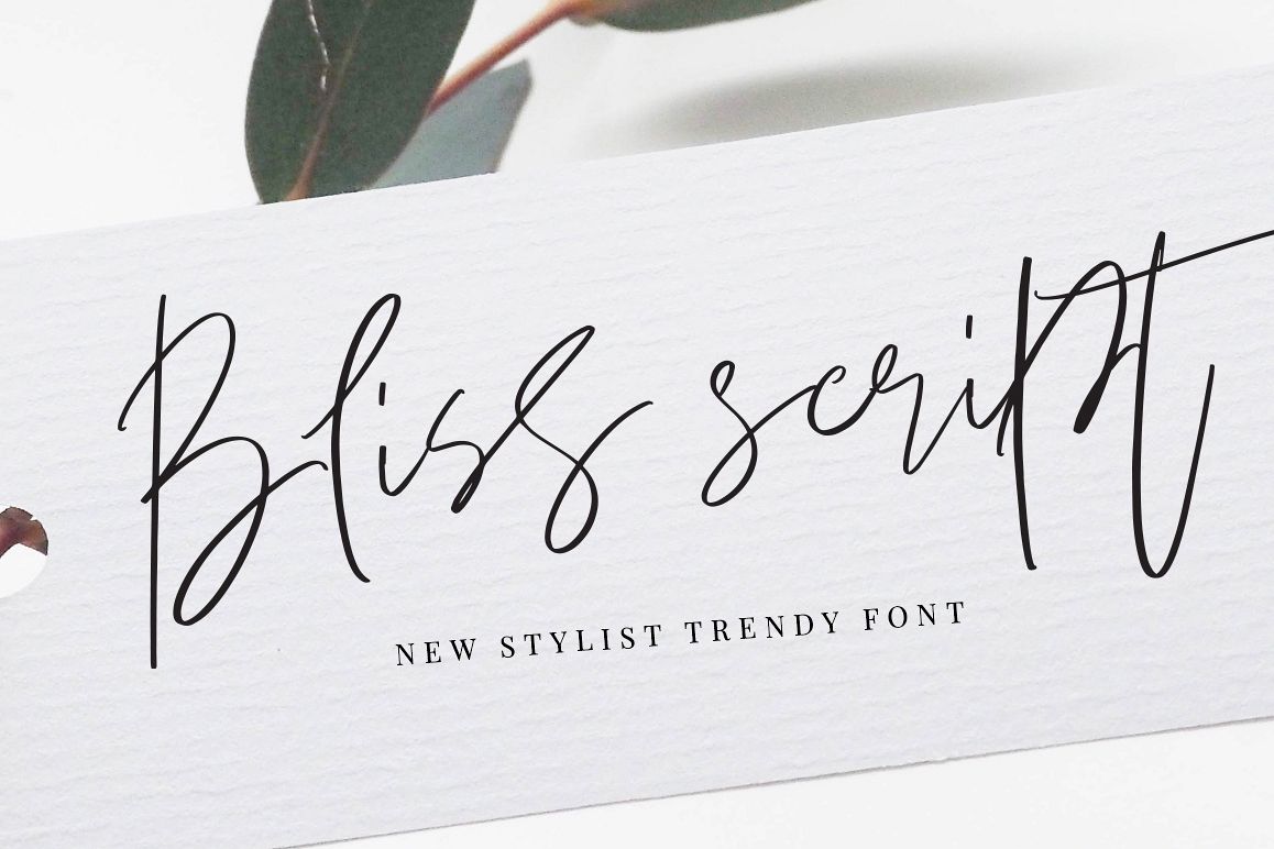 Bliss Script Stylist! example image 1