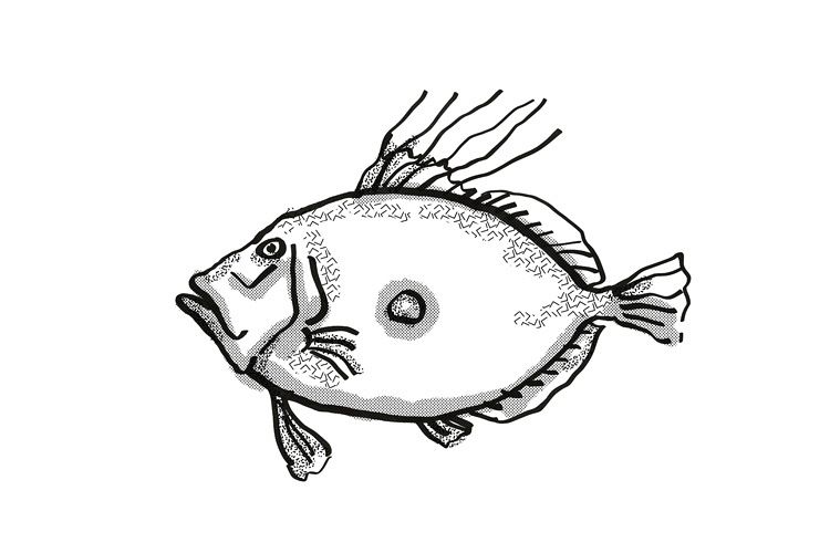 King Dory New Zealand Fish Cartoon Retro Drawing example image 1