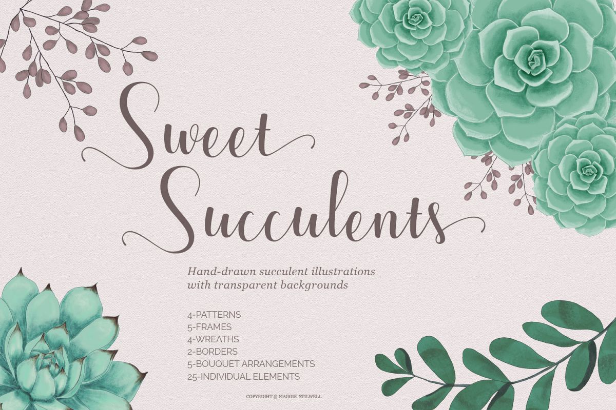 Sweet Succulents Design Set example image 1