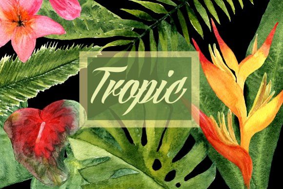 Watercolor Tropic Clip Art example image 1