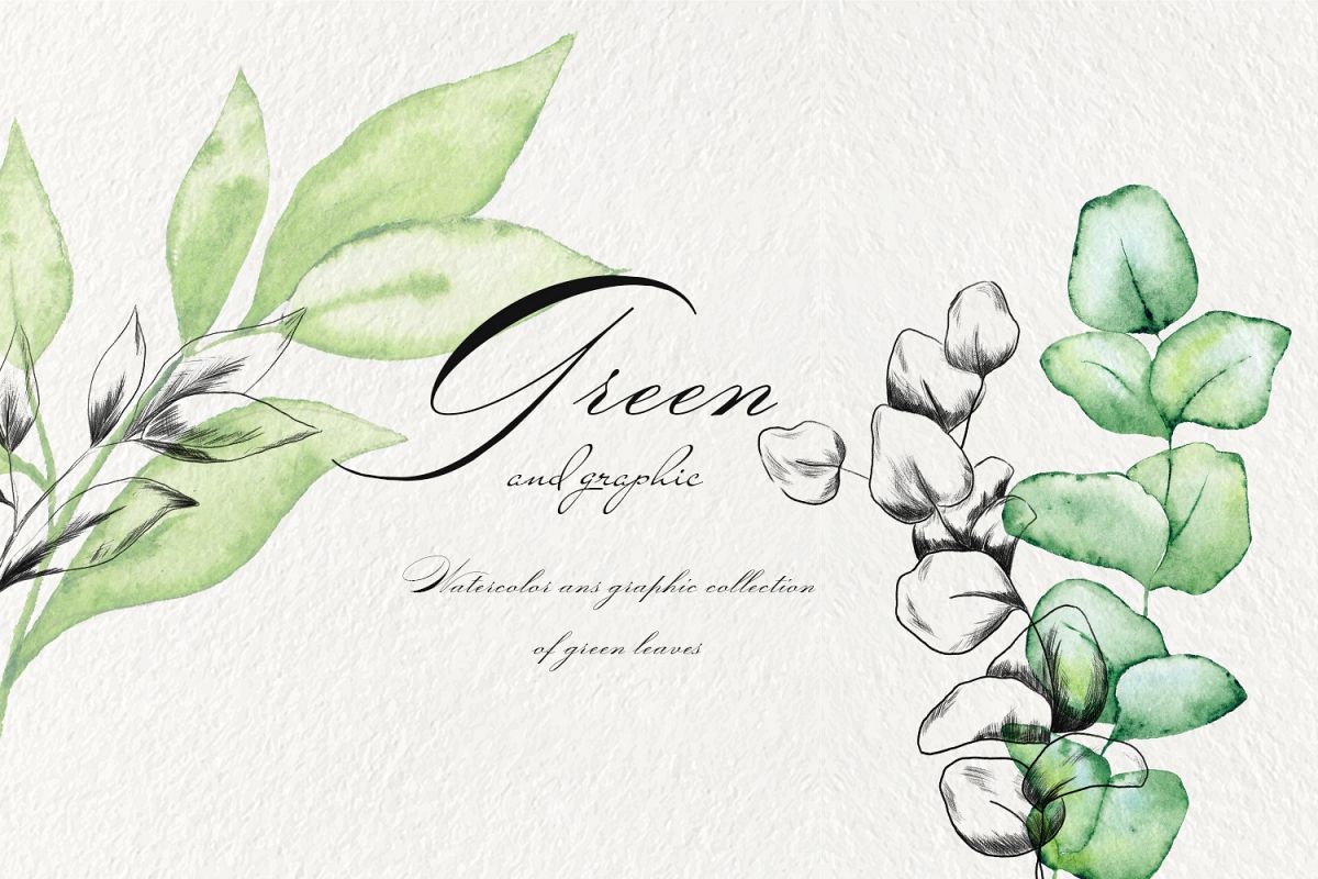 Green leaves and graphic example image 1