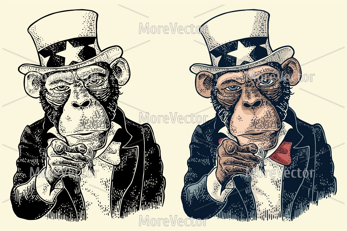 Monkey Uncle Sam with pointing finger at viewer. Vintage black engraving example image 1