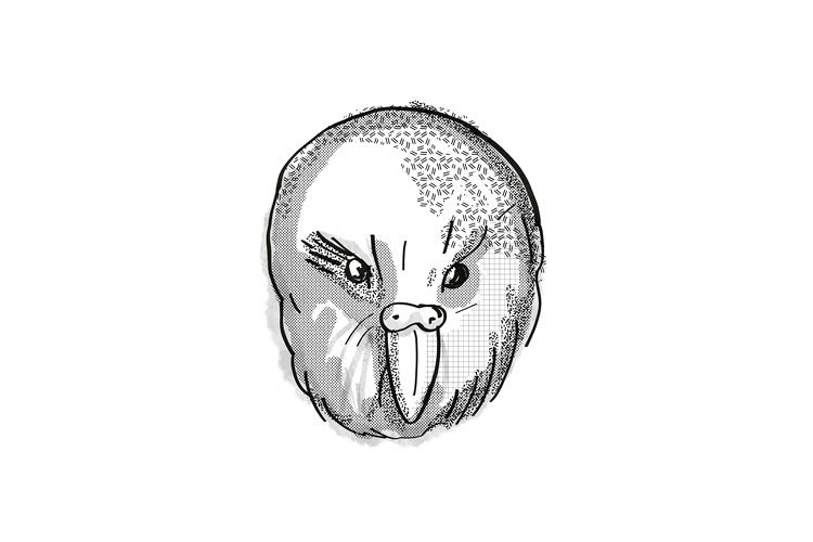 kakapo New Zealand Bird Cartoon Retro Drawing example image 1