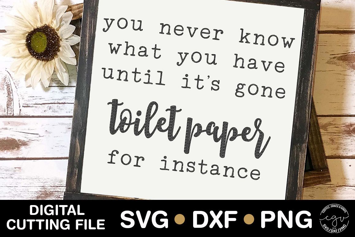 You Never Know What You Have Until It's Gone Toilet Paper example image 1
