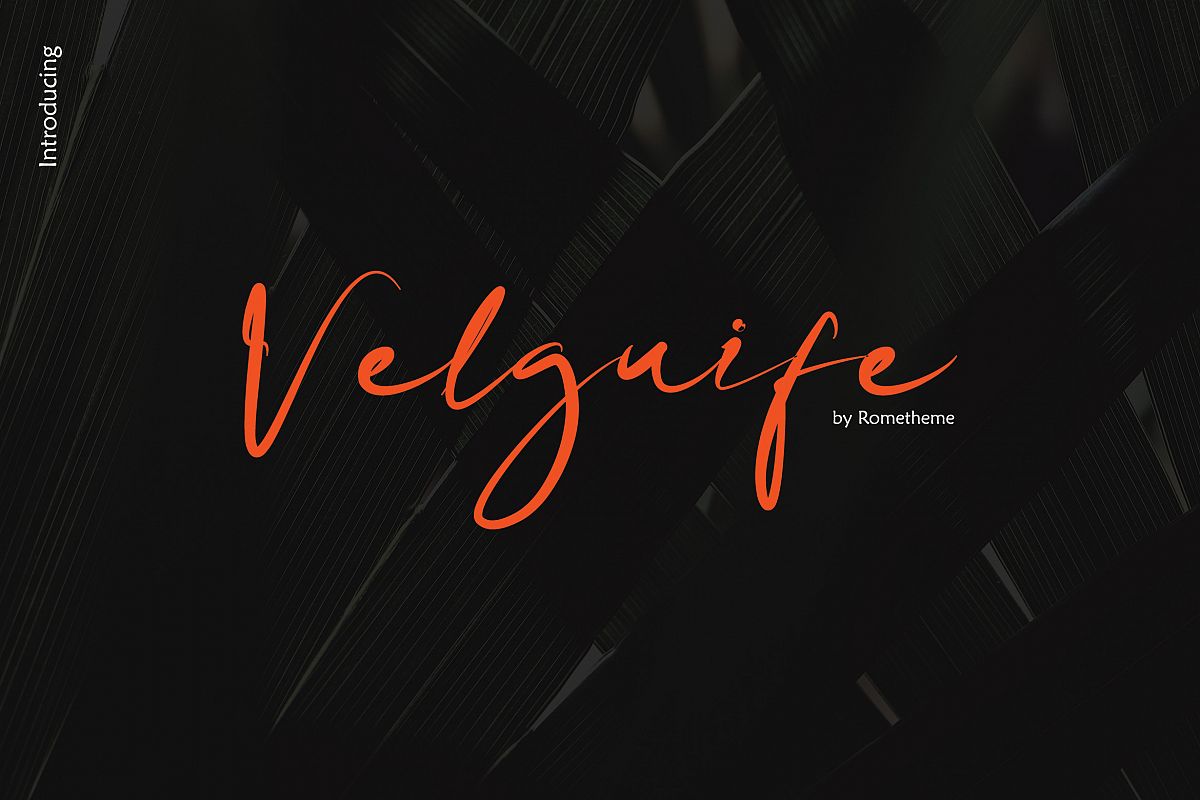 Velguife Script Font example image 1