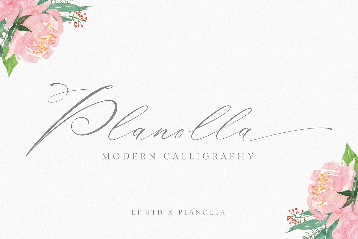 Planolla | Modern Calligraphy example image 1