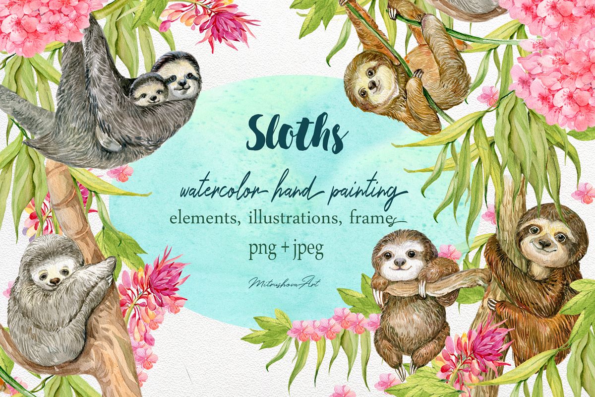 Sloth. Watercolor Clipart. example image 1