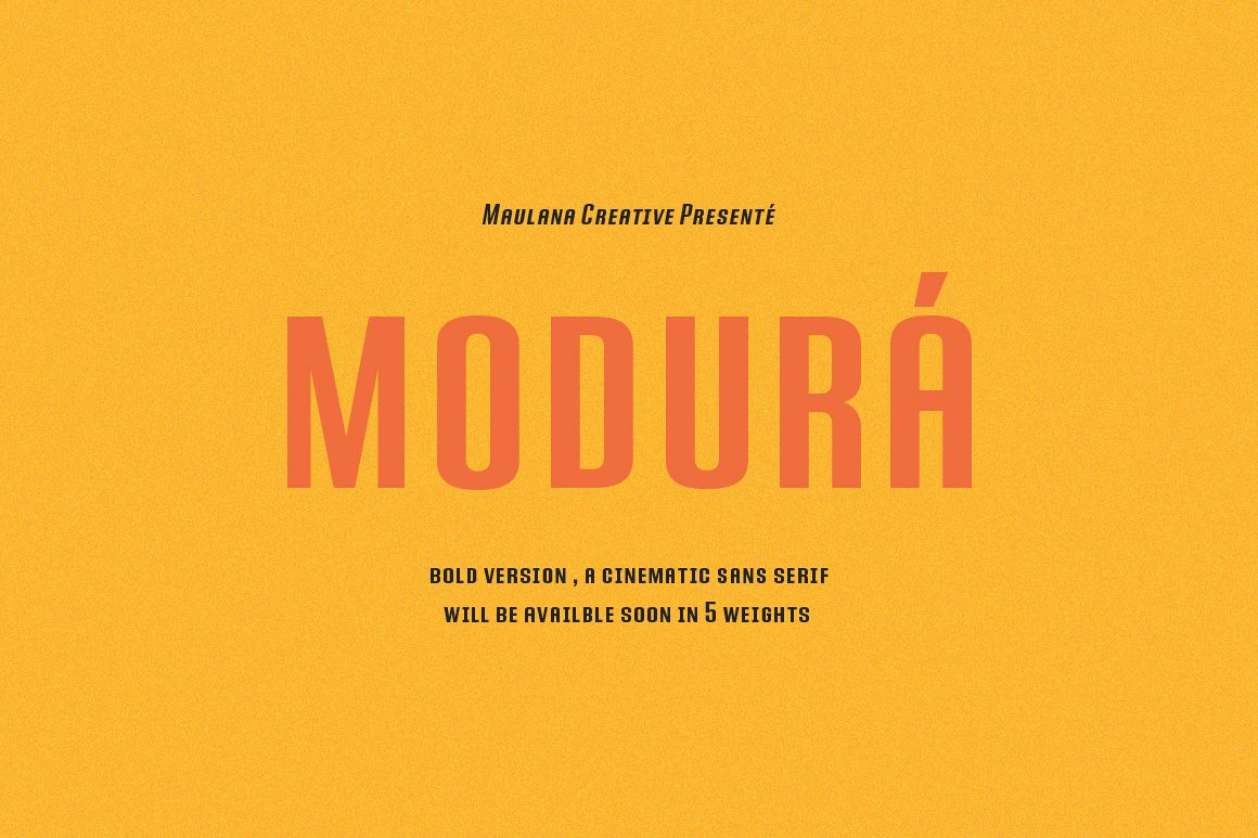 Modura Sans Font example image 1