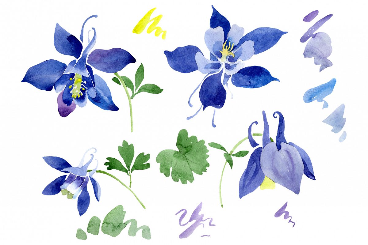 Flowers set PNG watercolor example image 1