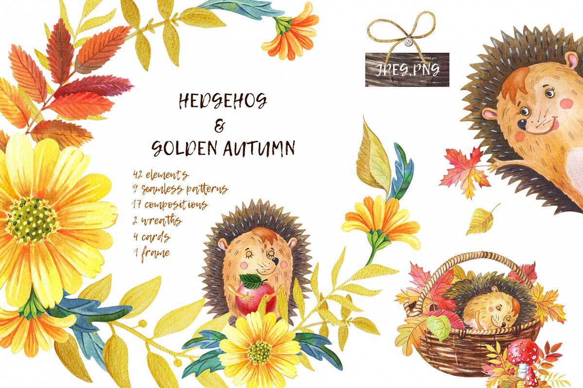 HEDGEHOG & GOLDEN AUTUMN example image 1
