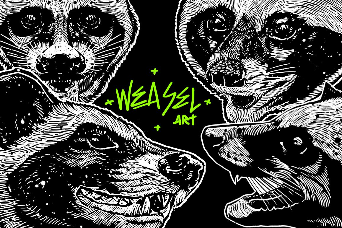 Weasel ART example image 1