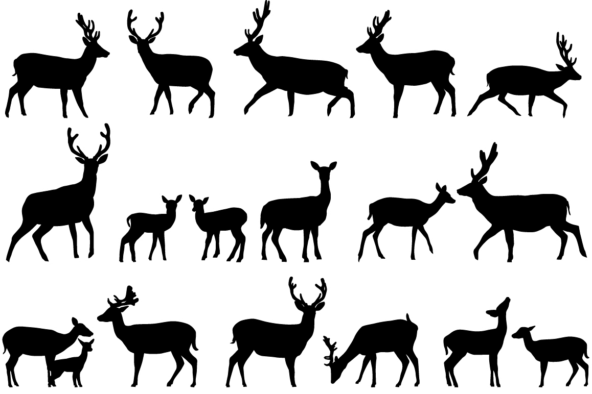 Deers example image 1