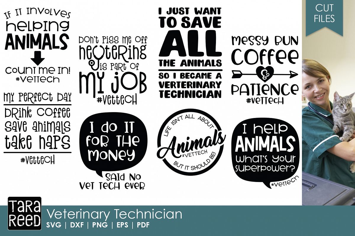 Veterinary Technician Bundle example image 1