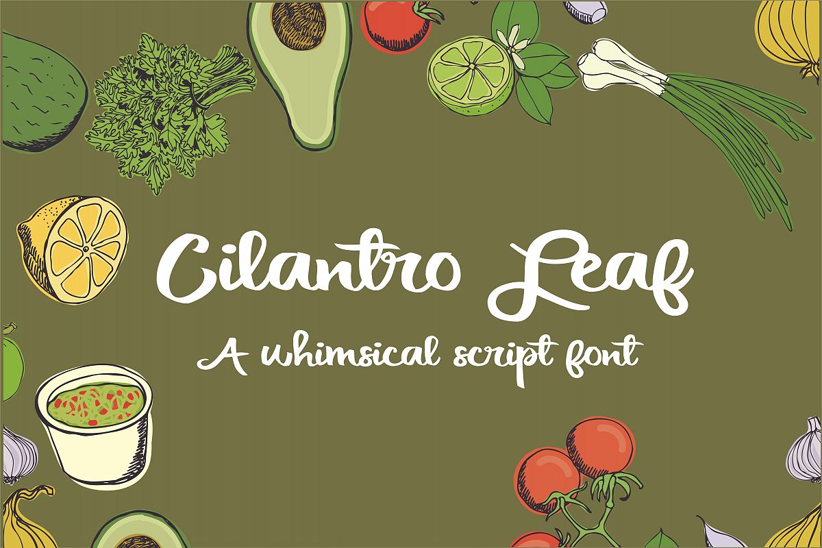 PN Cilantro Leaf example image 1