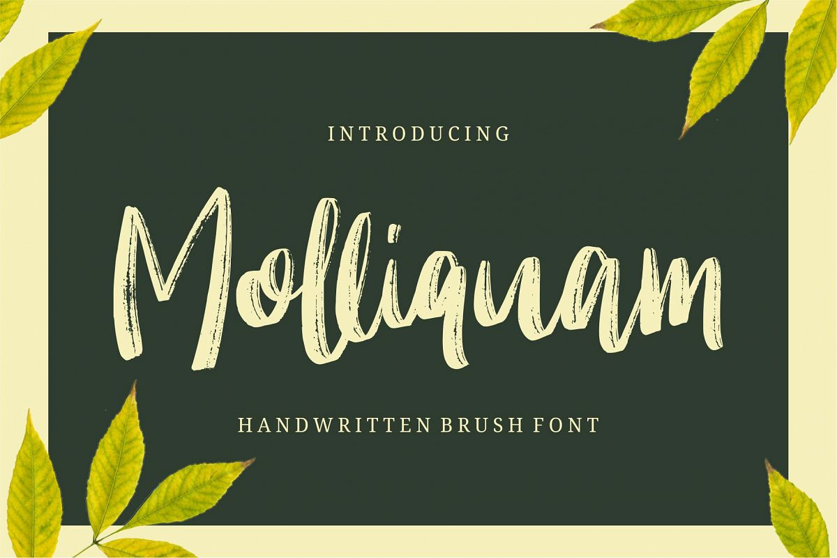 Molliquam example image 1