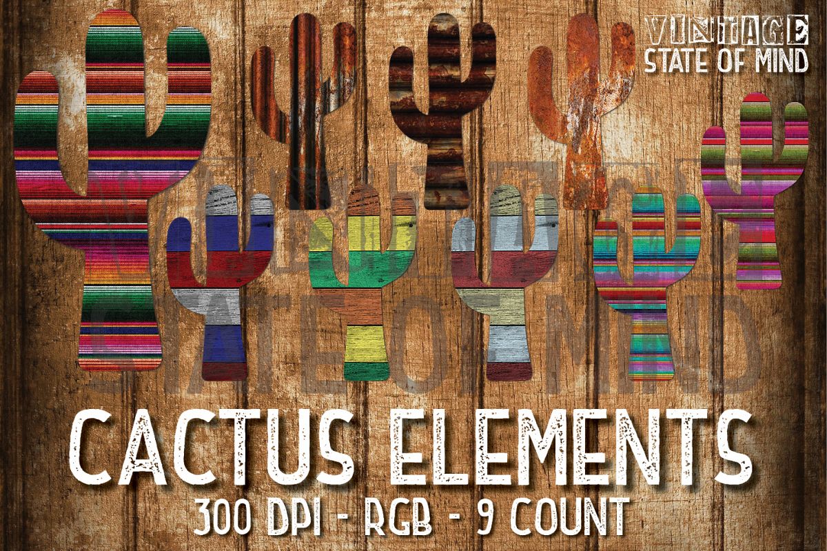 Rusty Serape Cactus Sublimation Graphics example image 1