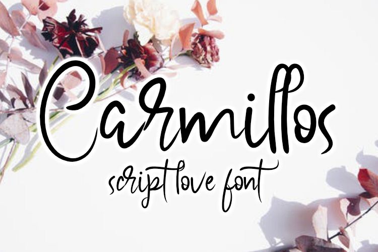 Carmillos example image 1