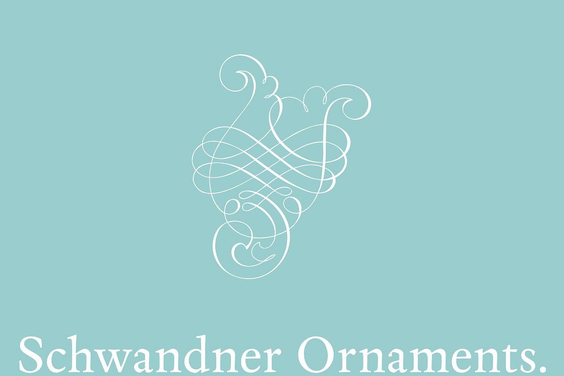 Schwandner Ornaments example image 1