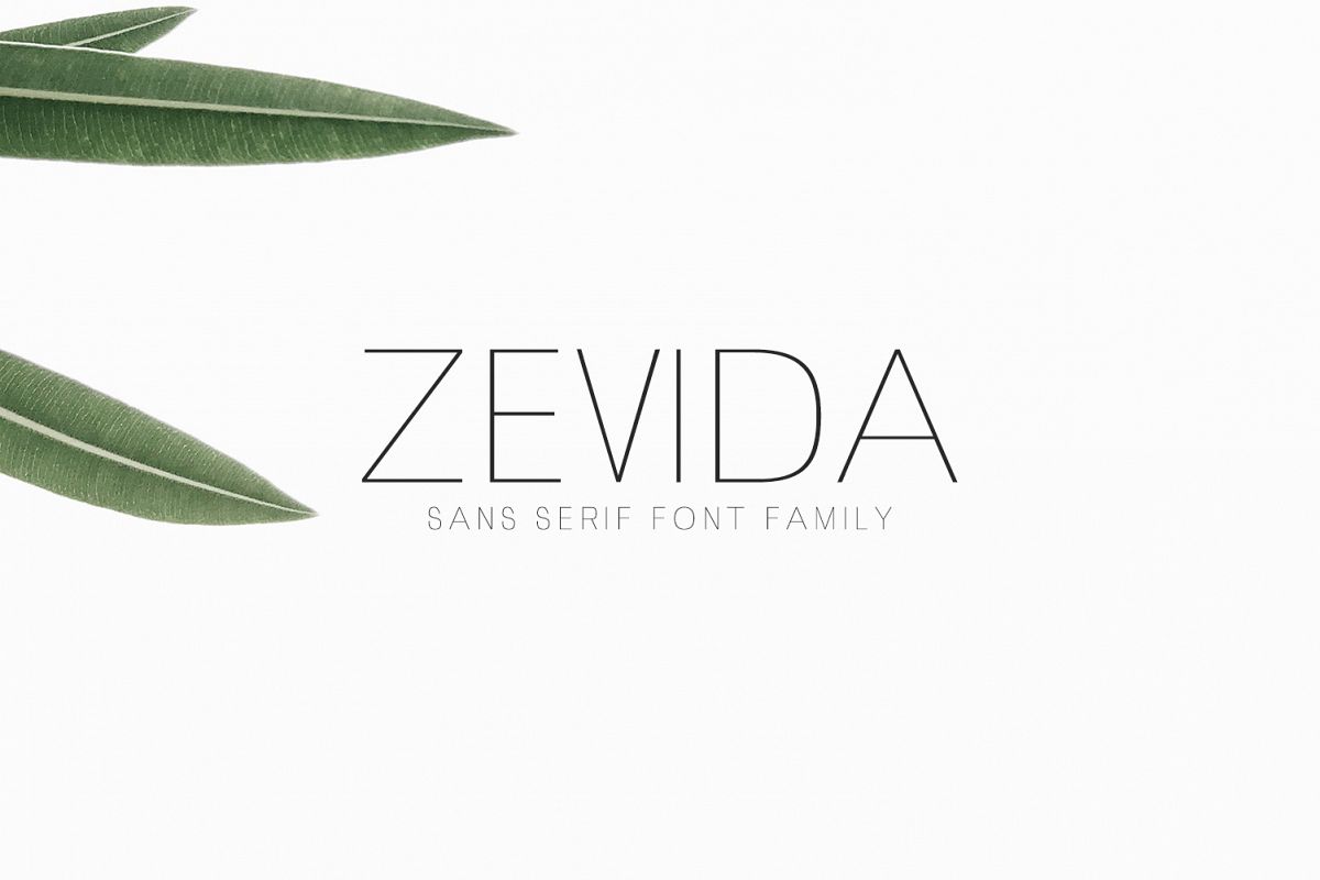 Zevida 4 Sans Serif Font Family example image 1