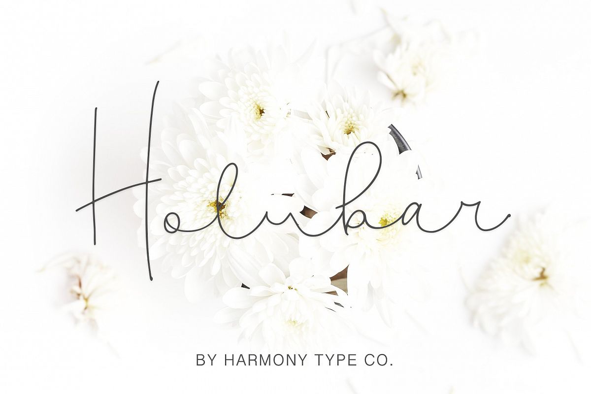 Holubar Script example image 1