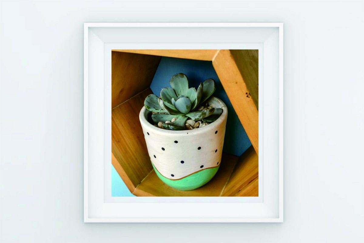 FRAME POSTER A CACTUS SECULENT STAND example image 1
