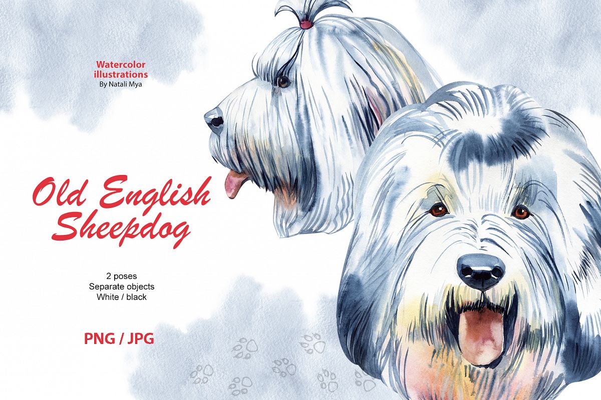 Watercolor dog. Old English Sheepdog example image 1