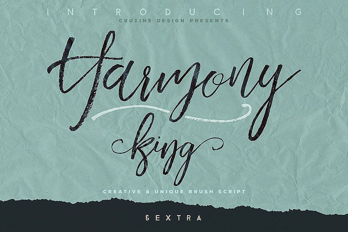 Harmony King - Brush Font example image 1