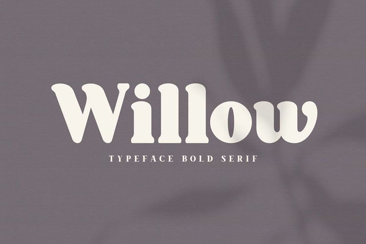 Willow. Typeface Bold Serif example image 1
