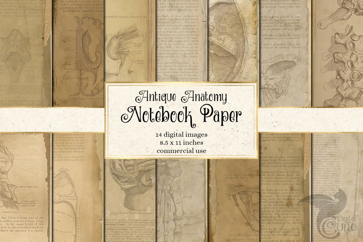 Antique Anatomy Notebook Paper example image 1