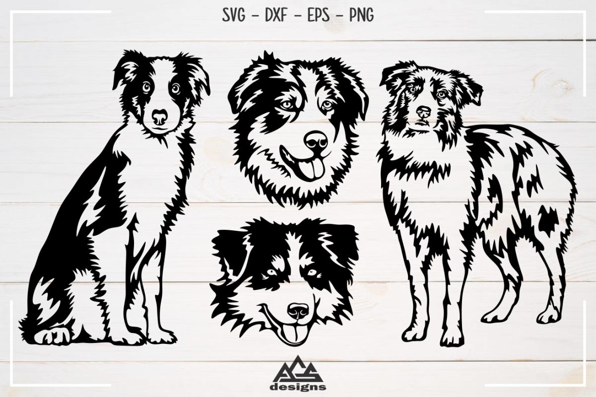 Download Dog Australian Shepherd Svg Design (408574) | Cut Files | Design Bundles