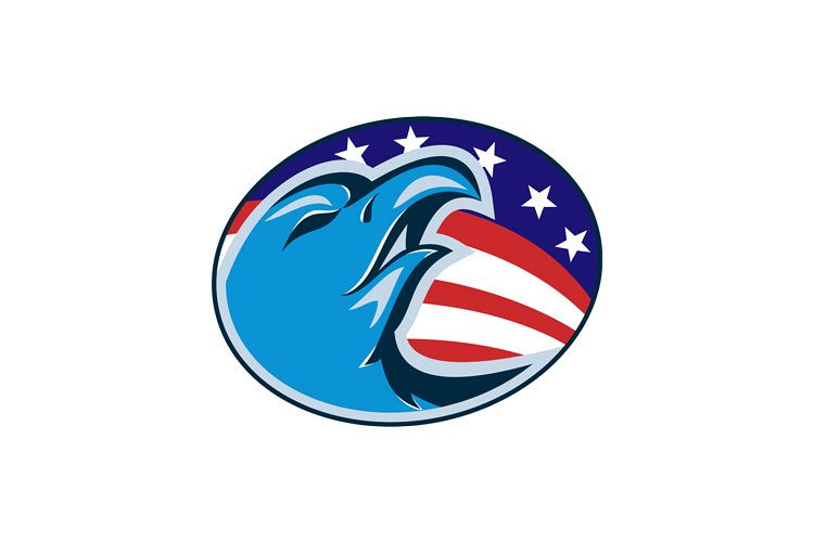 bald eagle american stars and stripes flag example image 1