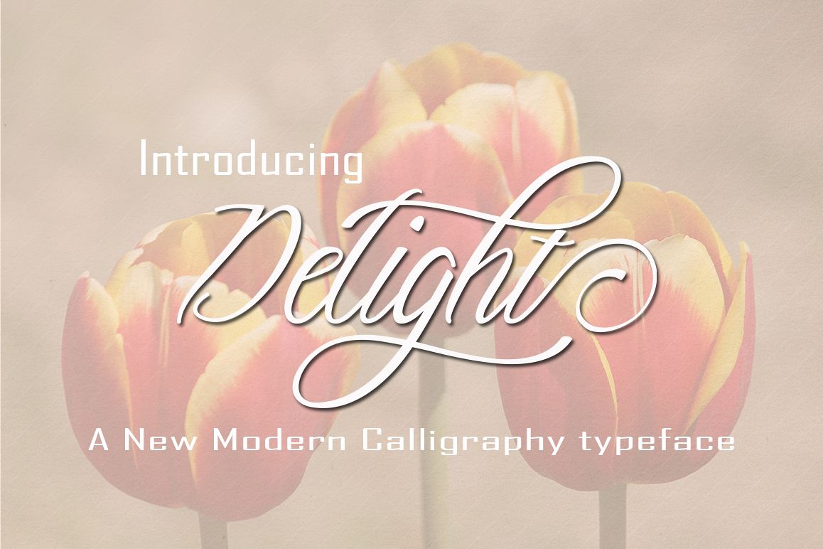 Delight Script example image 1