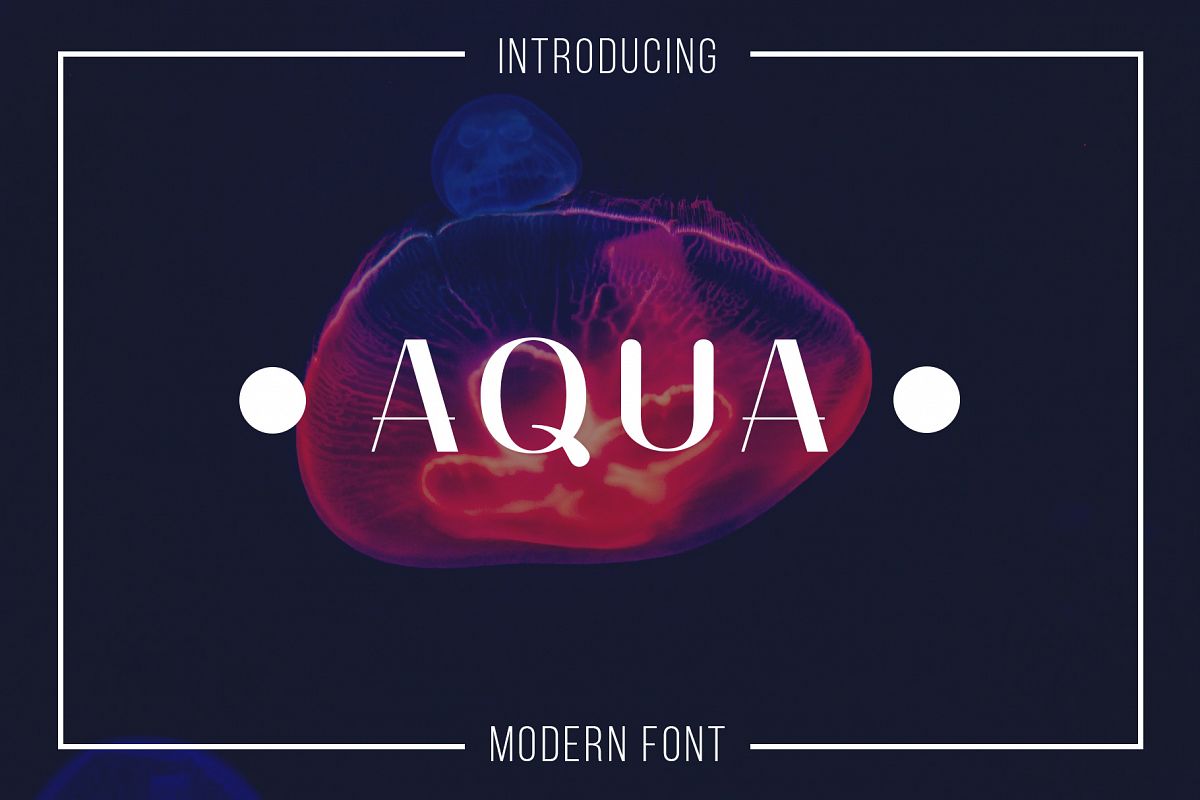 Aqua Serif Font example image 1