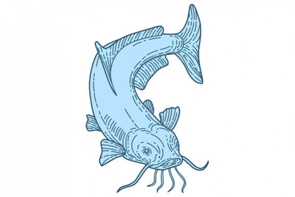Catfish Mud Cat Diving Down Mono Line example image 1
