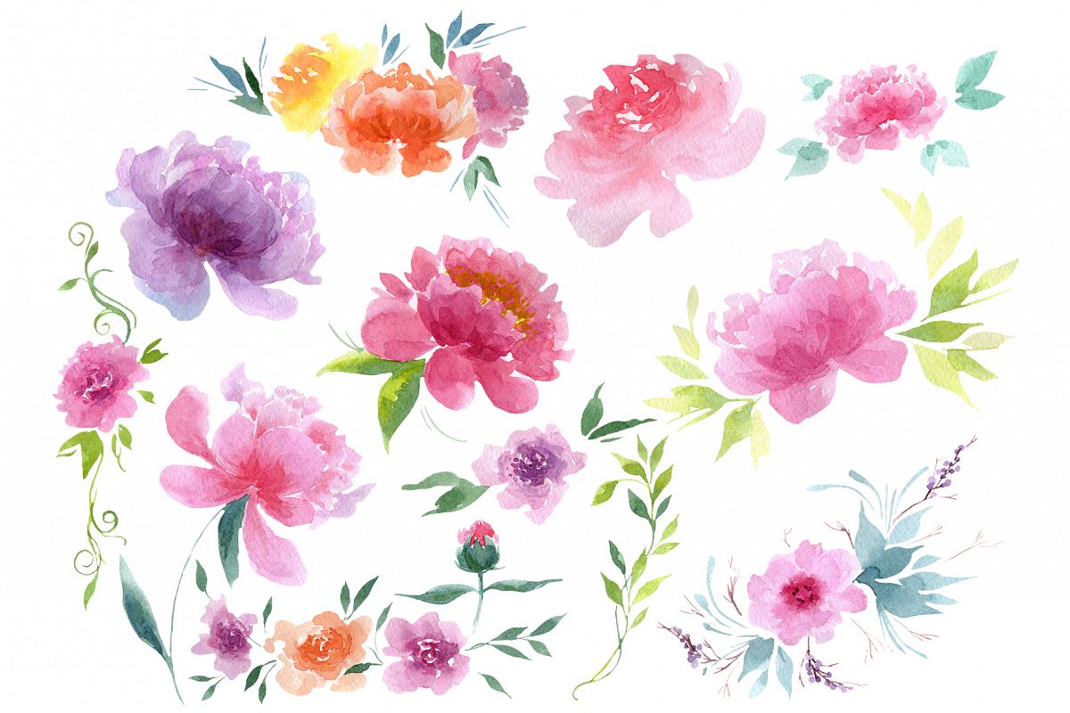 Delicate colorful peony PNG watercolor set example image 1