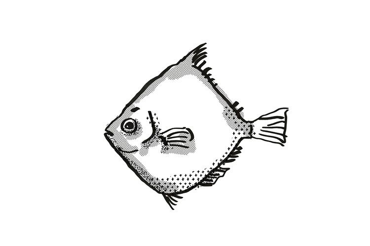 Rosy Deepsea Boarfish Australian Fish Cartoon Retro Drawing example image 1