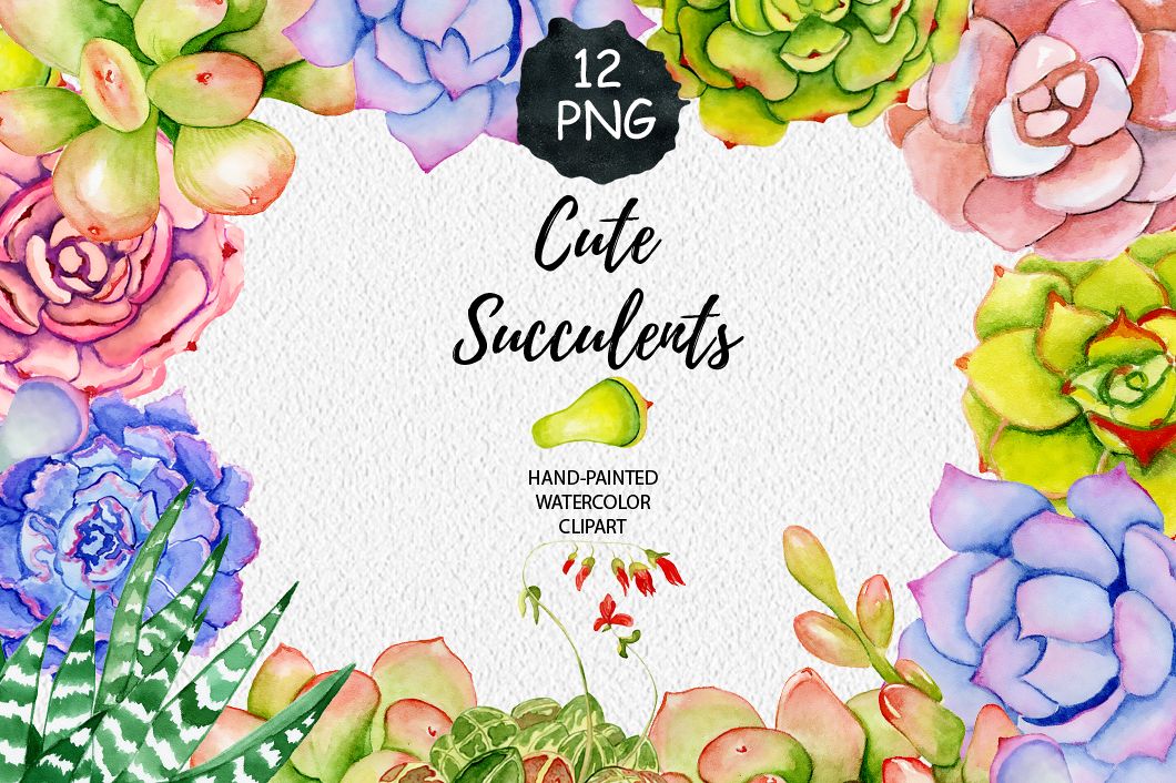 Succulents watercolor clipart example image 1