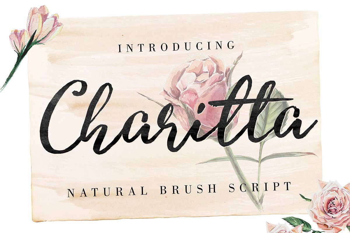 Charitta Organic Script example image 1