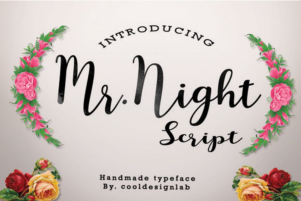 Mr.Night script example image 1