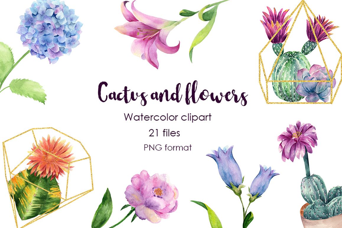 Watercolor Cactus and Flowers Clipart. example image 1