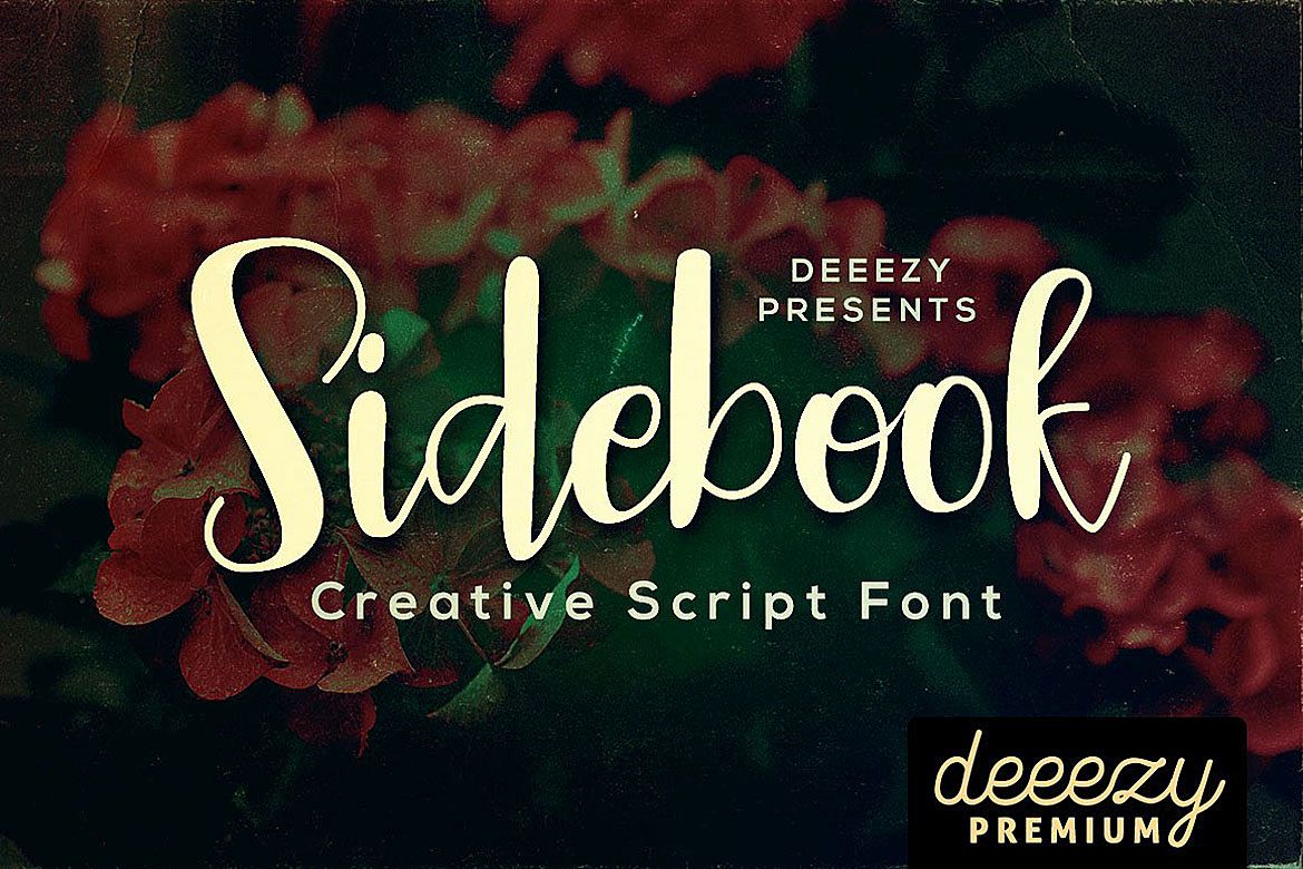 Sidebook Script Font example image 1