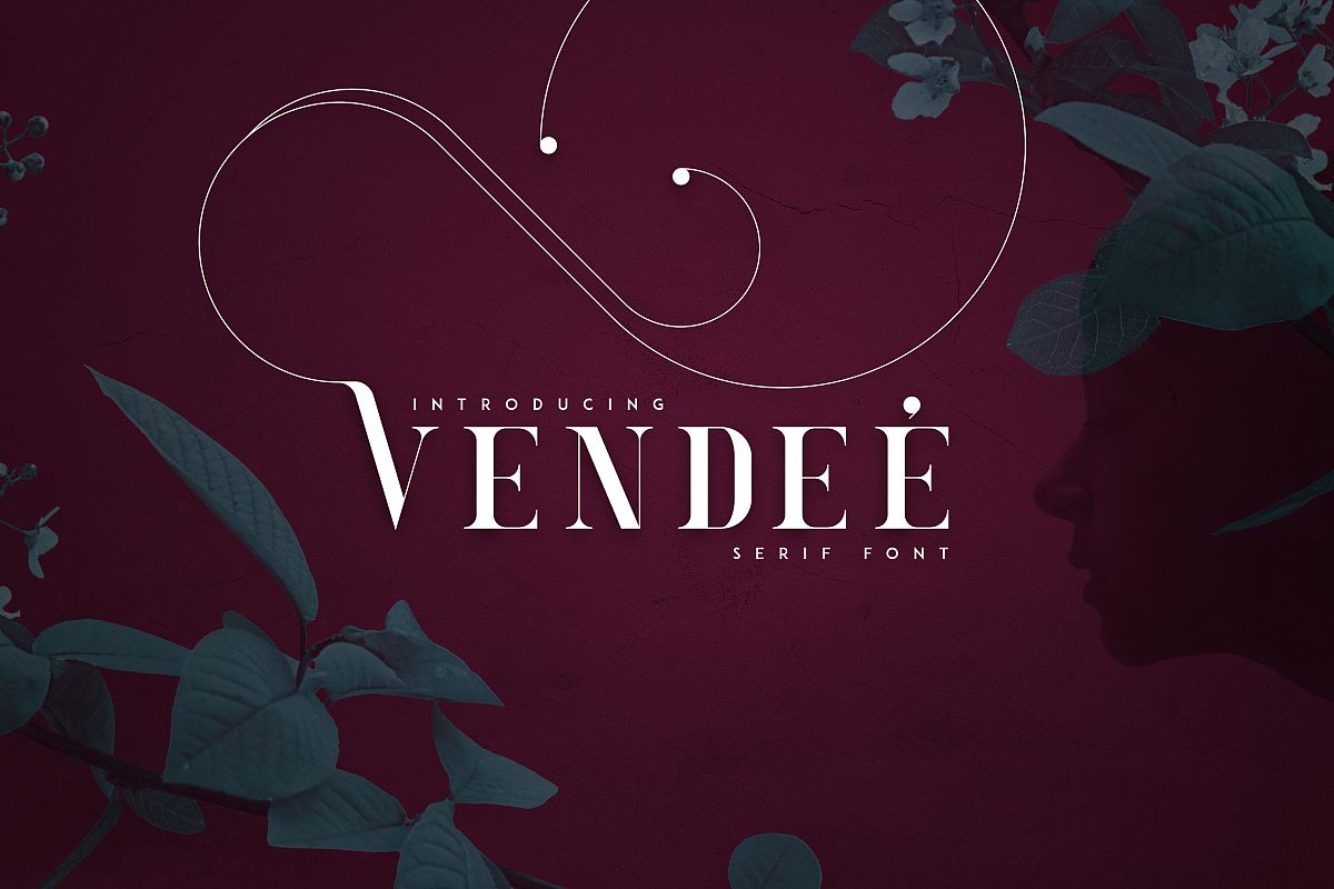 VENDEE - Serif font example image 1