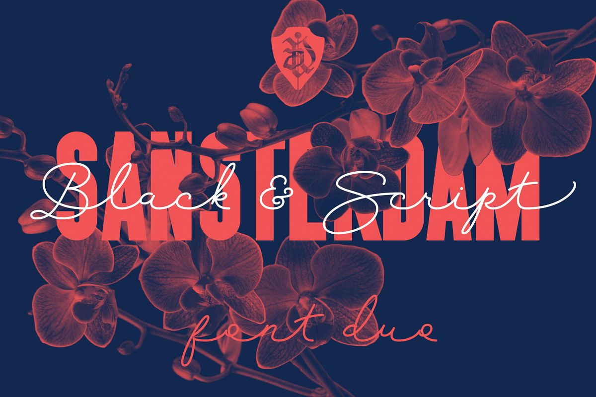 Sansterdam Black & Script example image 1