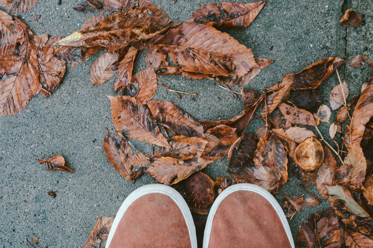 Feet man walking on fall leaves example image 1