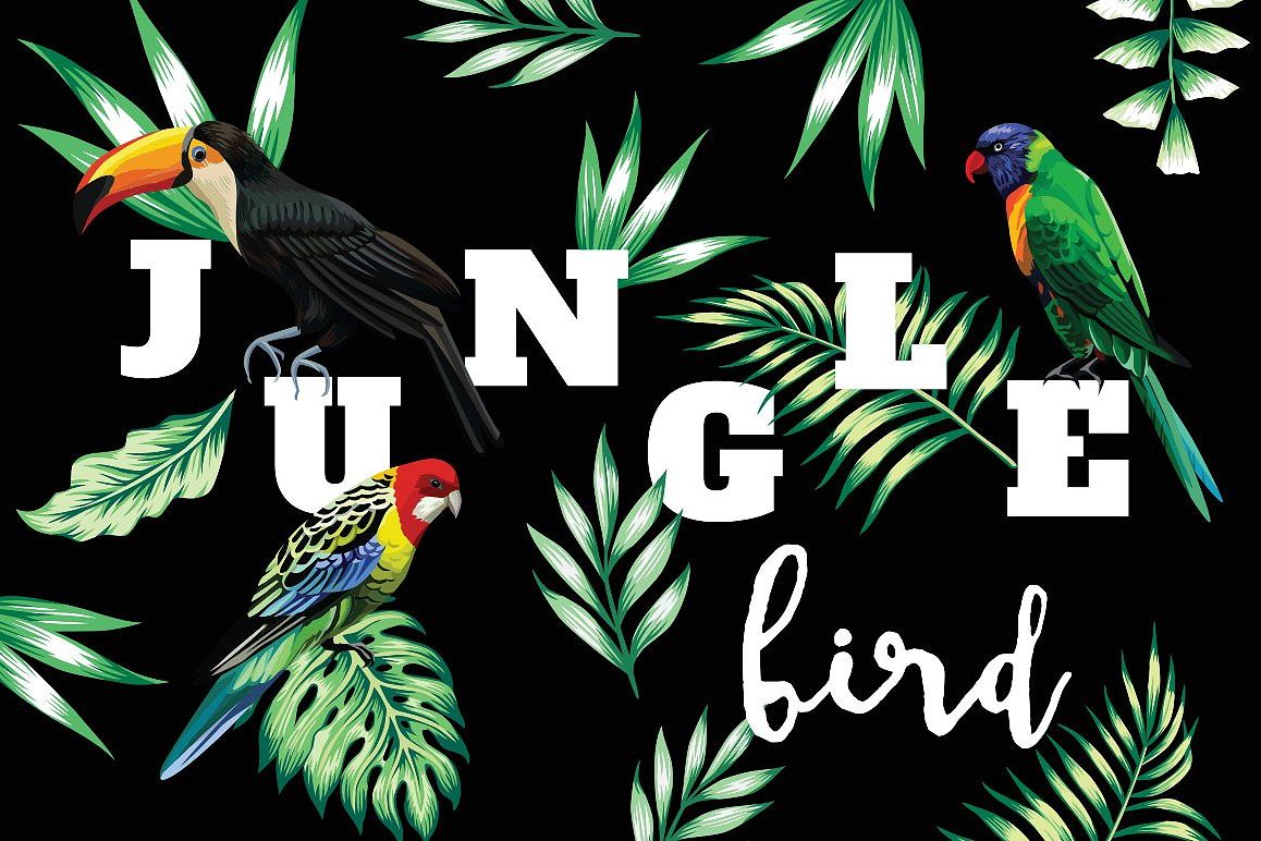 Jungle bird example image 1